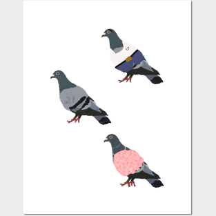 Fun pigeons Posters and Art